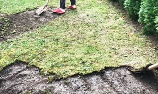Снятие дерна старого газона в Минеральных Водах – от 513 руб. | 2Землекопа-Мнр